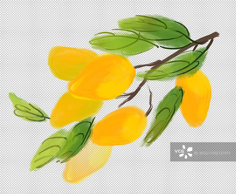 夏天水墨插画设计包装素材元素芒果图片素材