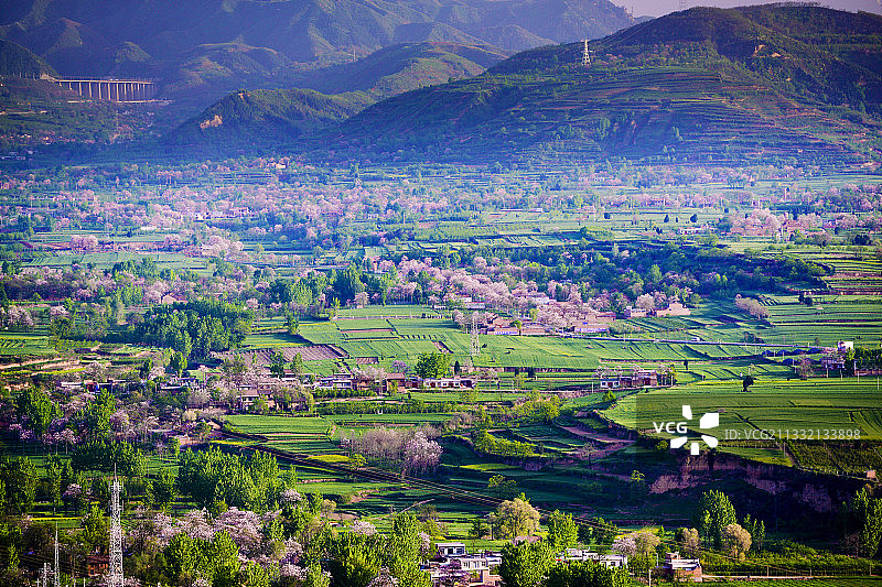 春色满园拍摄于渭南市临渭区河西乡图片素材