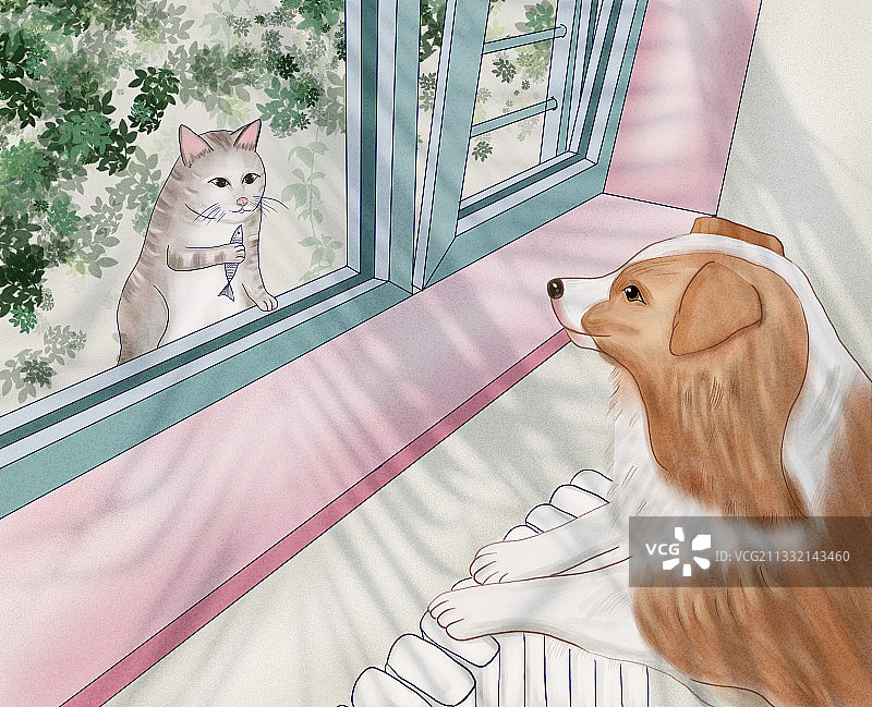 温暖的画面猫咪和狗狗图片素材