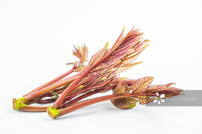 春天的美食香椿芽图片素材