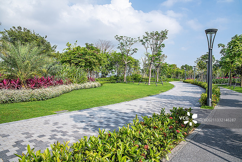 广东省深圳湾运动公园风景图片素材