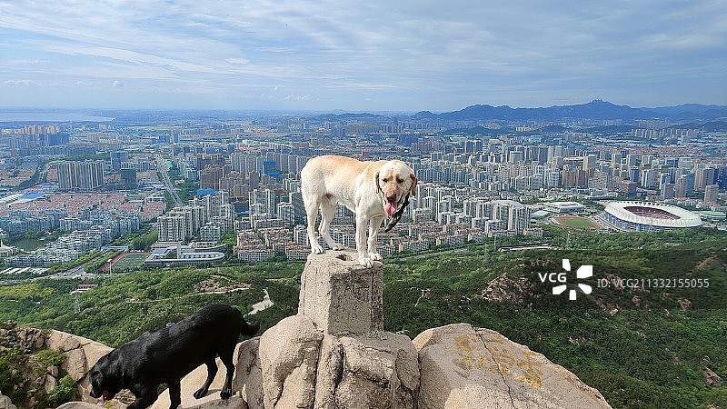 青岛浮山图片素材