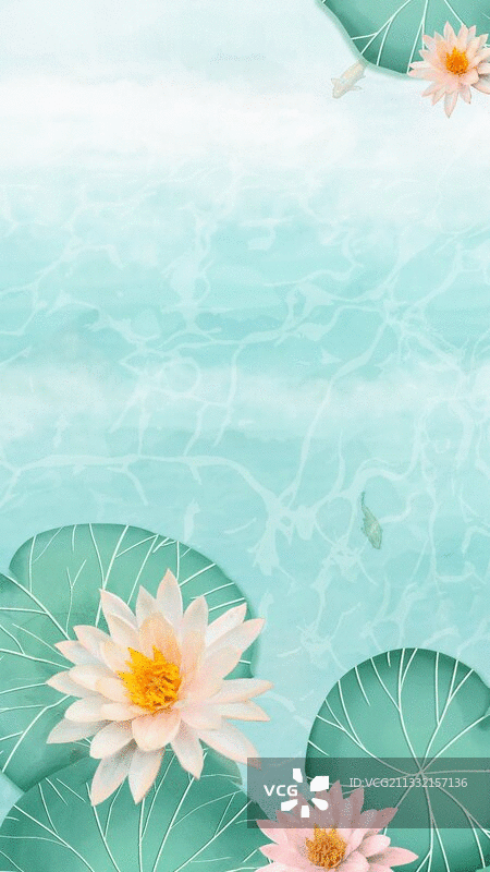 夏天荷花在池塘里绽放锦鲤在游泳中国风插画图片素材