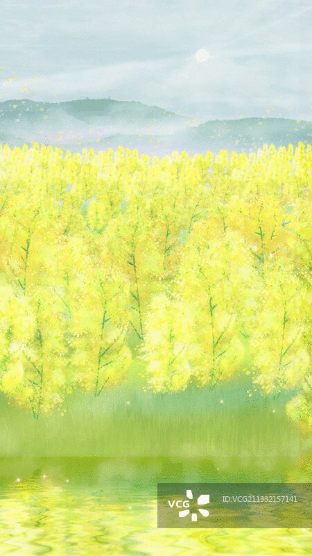 早晨太阳升起，阳光撒在油菜花地上插画背景图片素材