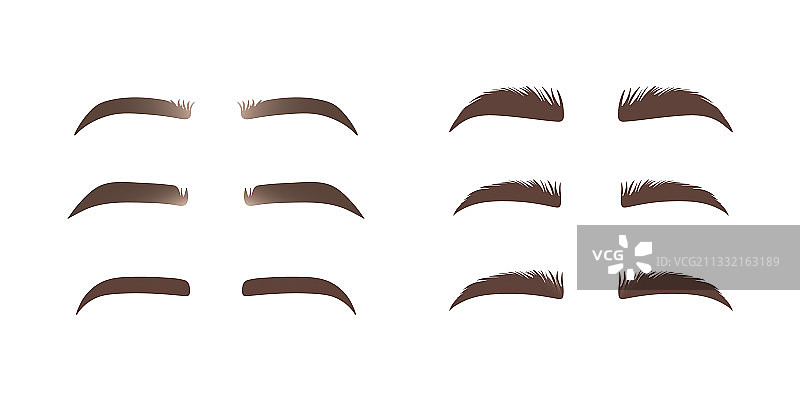 眉毛形状合集图片素材