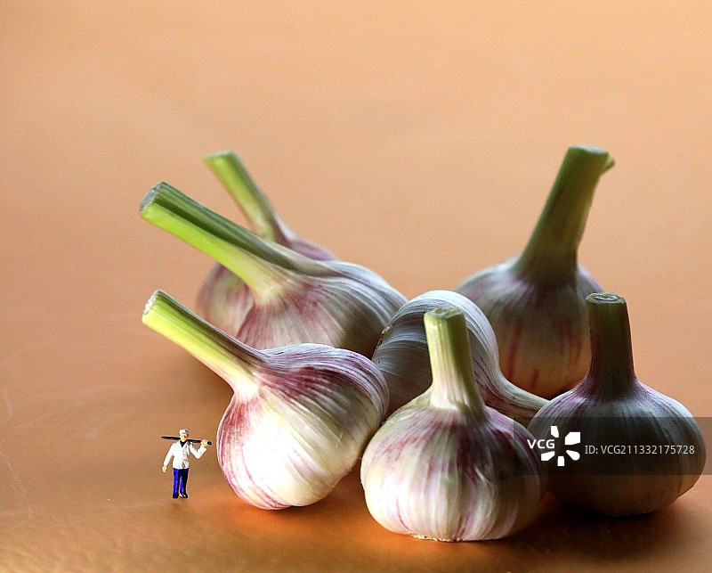 大蒜（1）图片素材