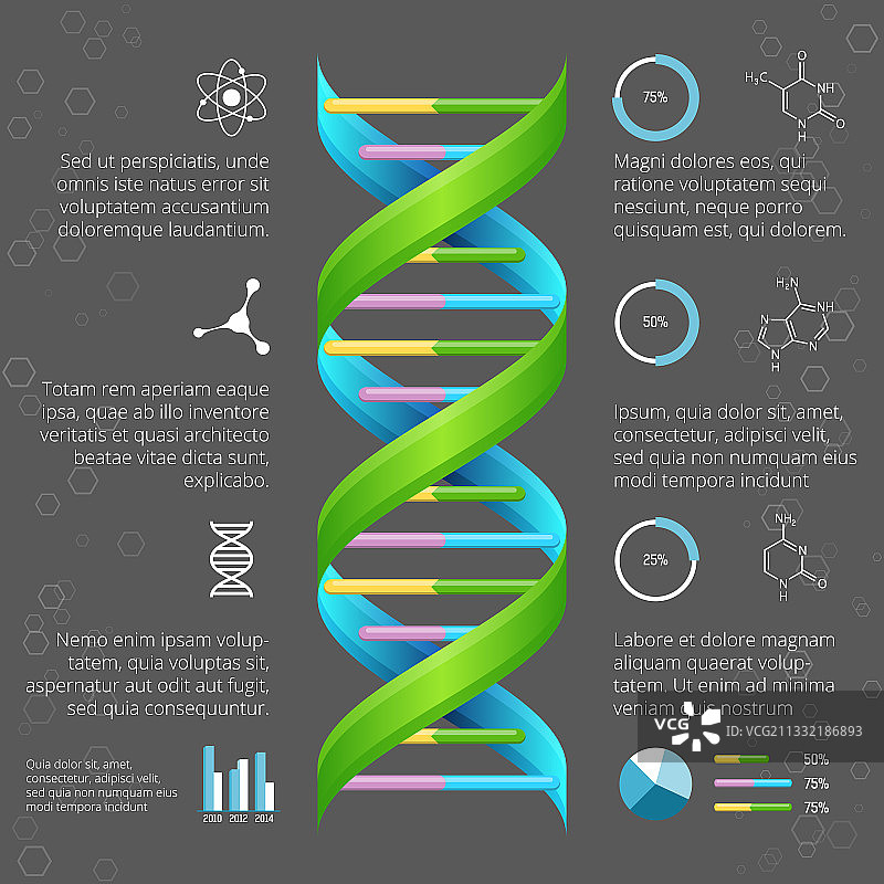 带有DNA结构的信息图表模板图片素材