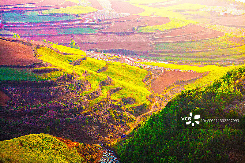 美丽的田原山丘图片素材