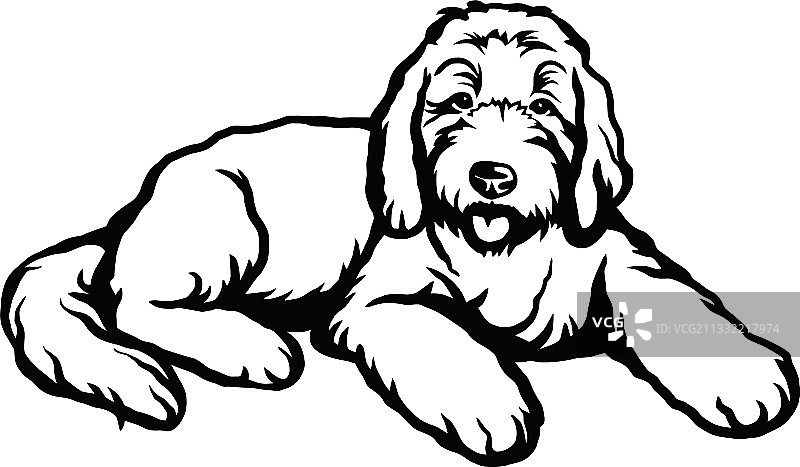 金毛涂鸦犬 - 隔离图片素材