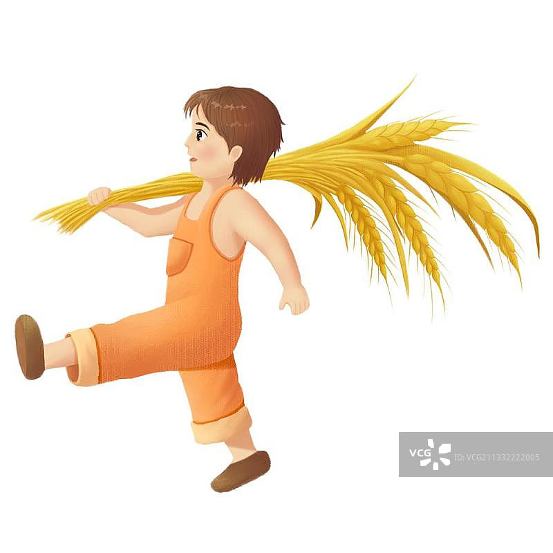 芒种节气元素——人和麦穗图片素材