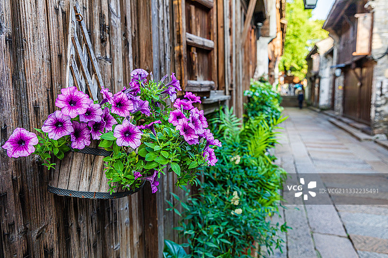 嘉兴，桐乡，乌镇风景区，西栅图片素材