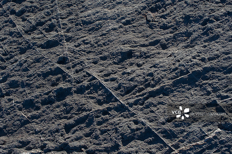 土地特写图片素材