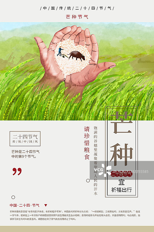 芒种节气 珍惜粮食图片素材