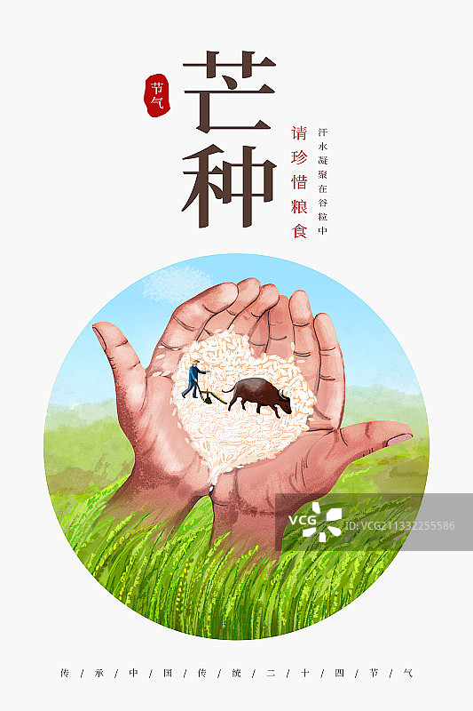 芒种 珍惜粮食图片素材