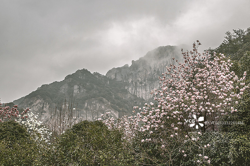 雁荡之绝II图片素材