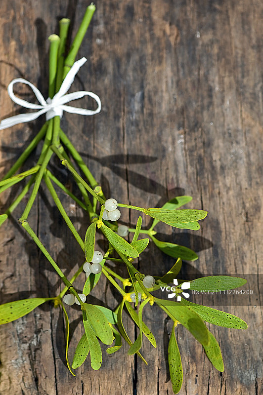 木桌上的植物俯视图图片素材
