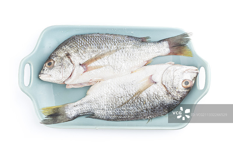 准备清蒸的黄鳍鲷鱼图片素材