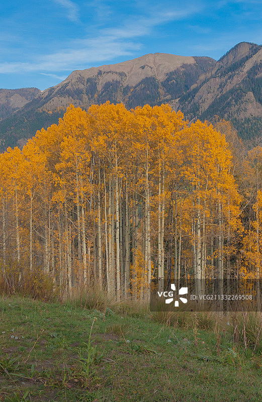美国科罗拉多州帕戈萨斯普林斯秋季天空下的田野风光图片素材