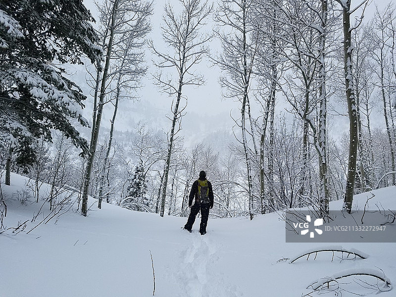 美国犹他州蒂姆帕诺戈斯山：男子站在雪地上的背影图片素材