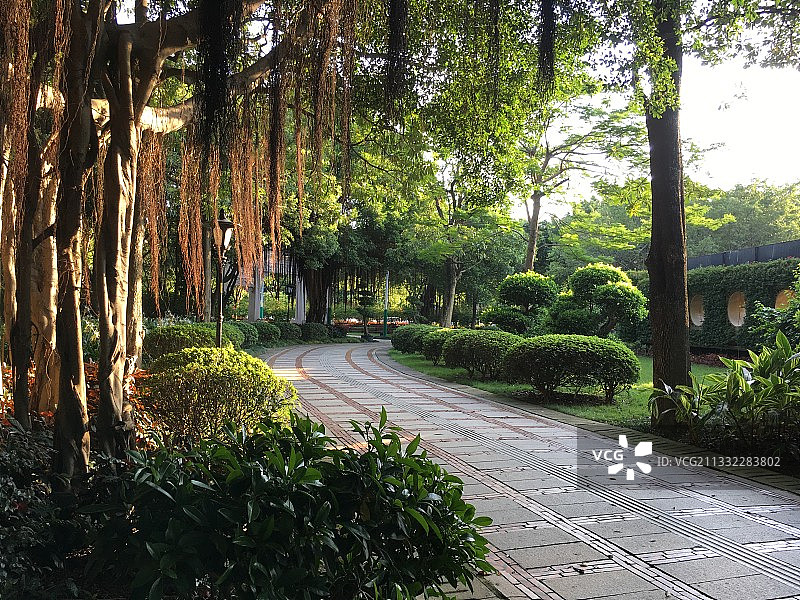 清晨的泉州西湖图片素材