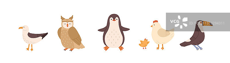 海鸥正面和侧面视图可爱鸟类套装图片素材