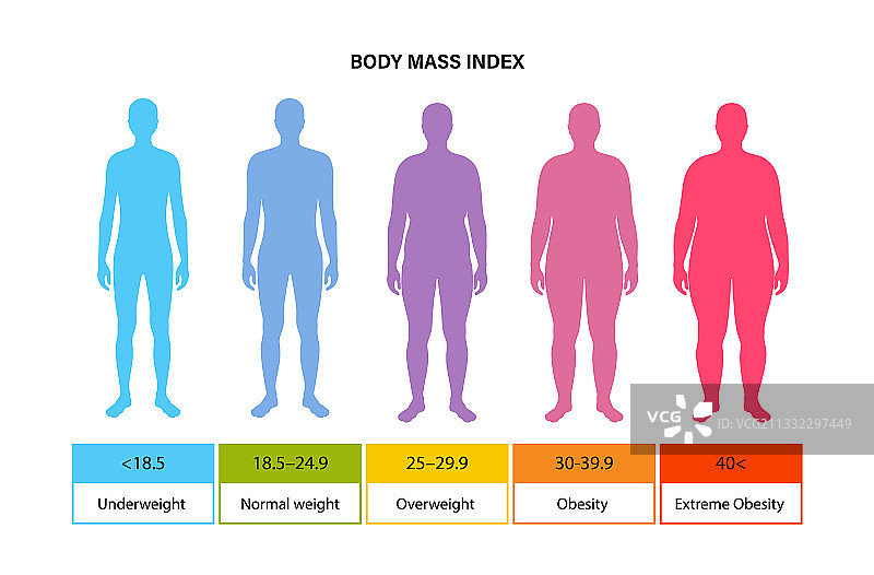 人体质量指数图示图片素材