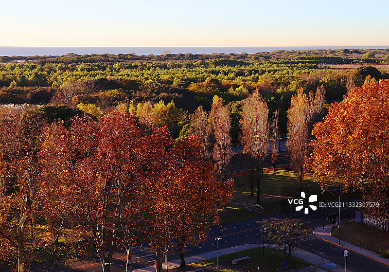 秋冬季节转换时分的布宜诺斯艾利斯景色图片素材