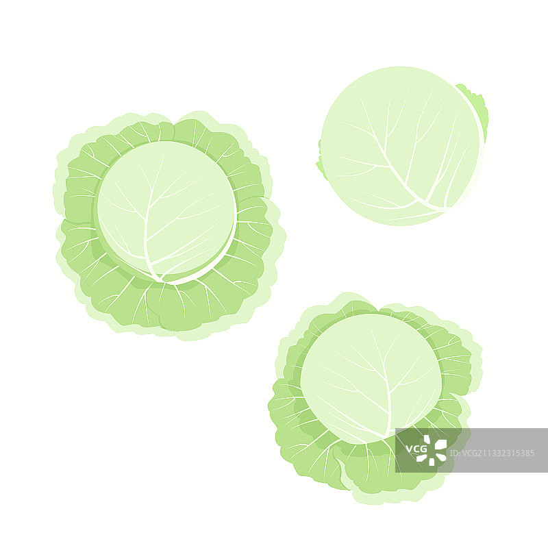 白色背景上的卷心菜抠图图片素材