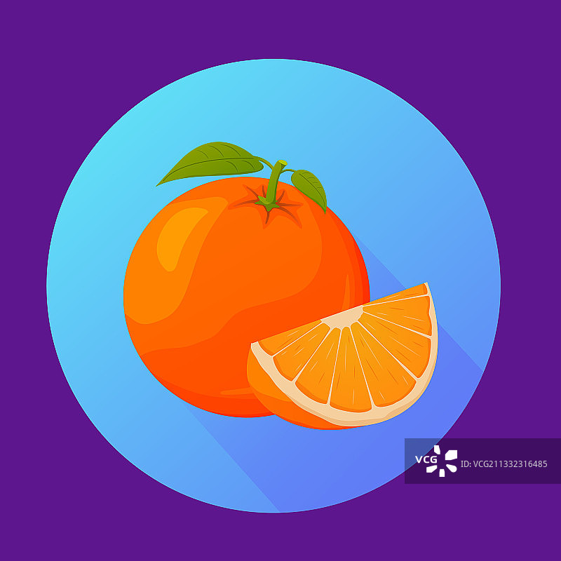橙色热带柑橘水果设计元素图标图片素材