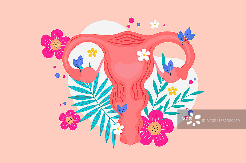 医疗健康子宫矢量插画图片素材