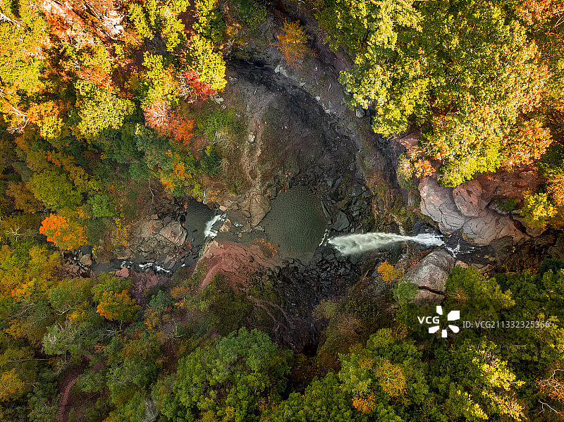 美国哈里曼州立公园秋季森林中的树木高角度景观图片素材