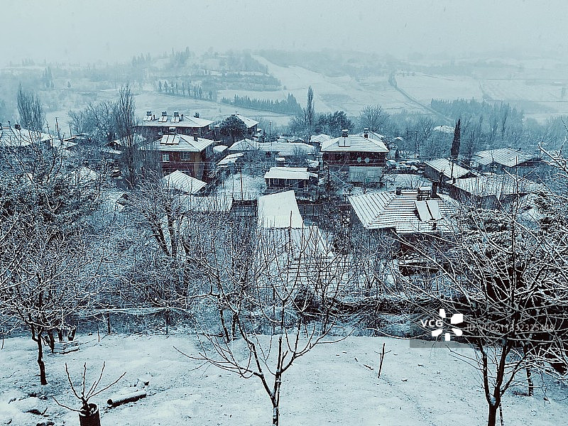 白雪覆盖的房屋和树木（高角度拍摄）图片素材