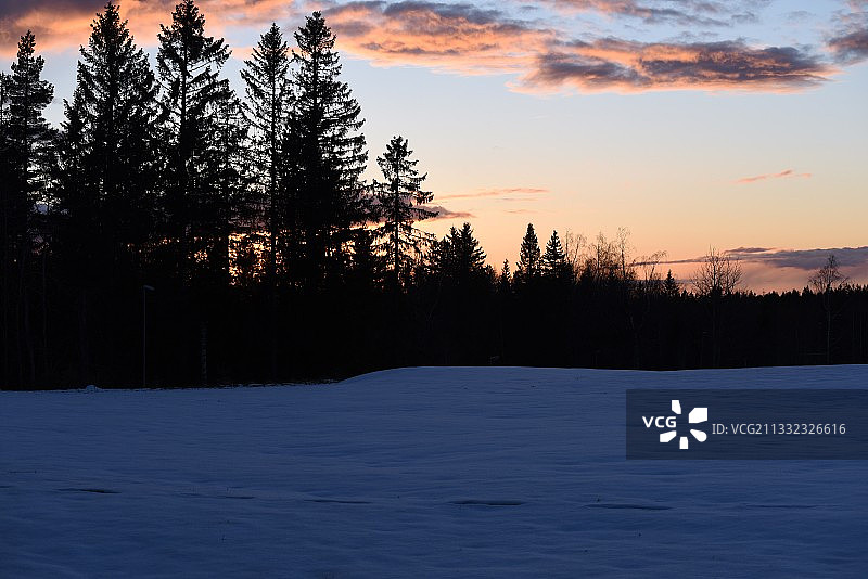 日落时分，白雪皑皑的风景中树木的轮廓与天空图片素材