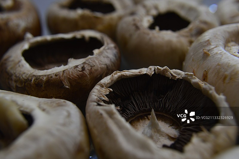 蘑菇全画幅照片图片素材