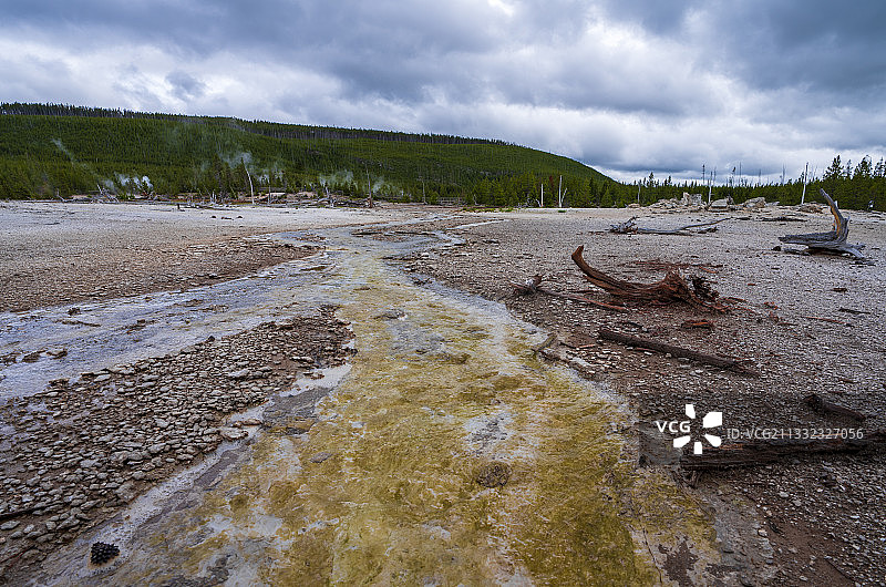 美国怀俄明州诺里斯间歇泉盆地美景图片素材