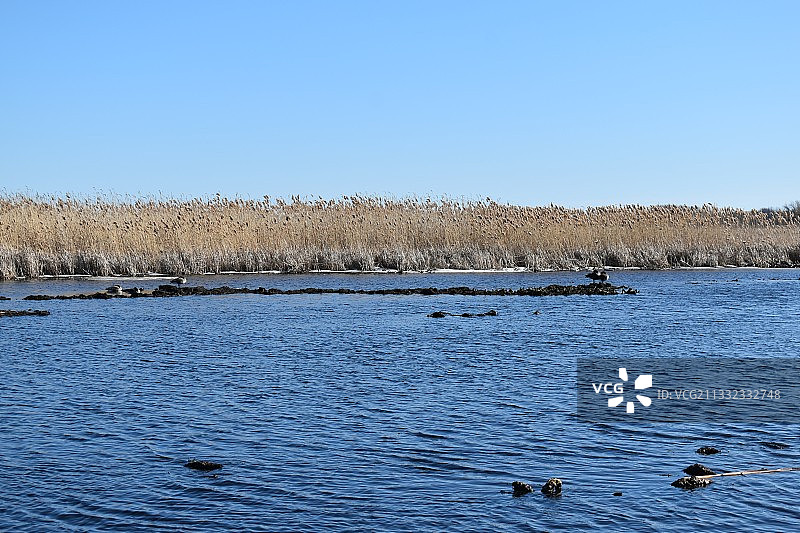 晴朗蓝天下的湖泊风光，加拿大佩利角国家公园图片素材