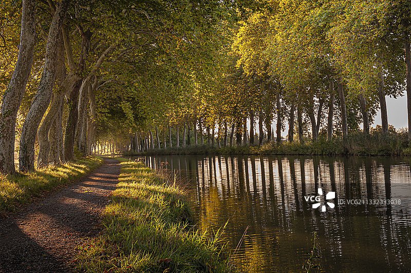 法国秋季森林湖泊风光图片素材