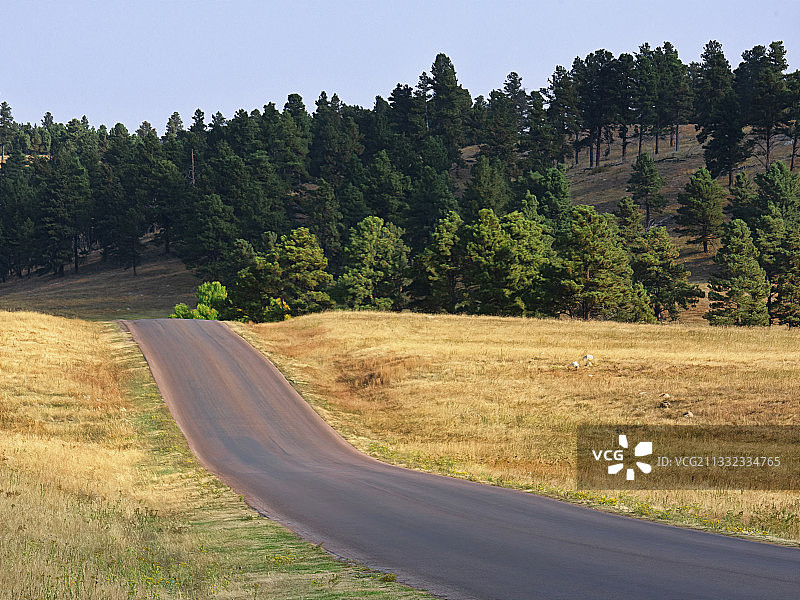 卡斯特州立公园的空旷道路，美国图片素材