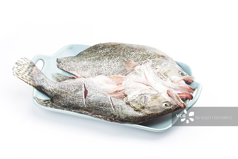 准备清蒸的桂花鱼图片素材