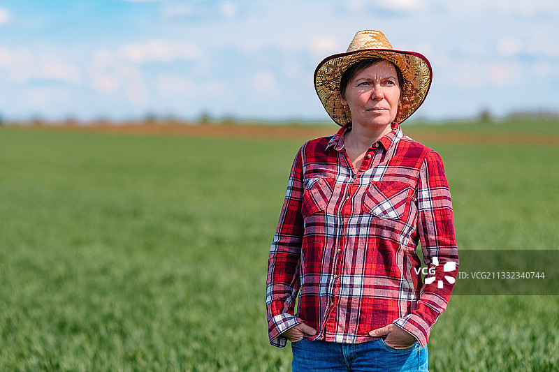 在塞尔维亚田野里的年长农民肖像图片素材
