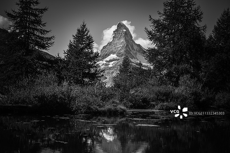 森林中天空下的湖边树木图片素材