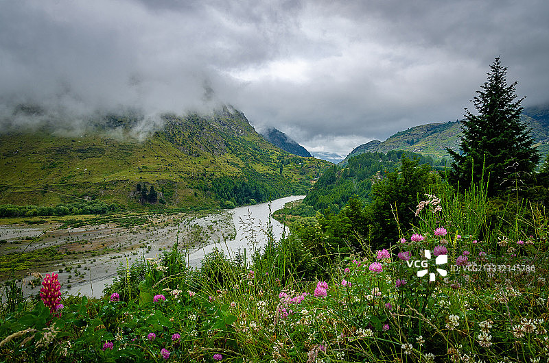 新西兰奥塔哥阿瑟斯角盛开植物与山脉的风景图片素材