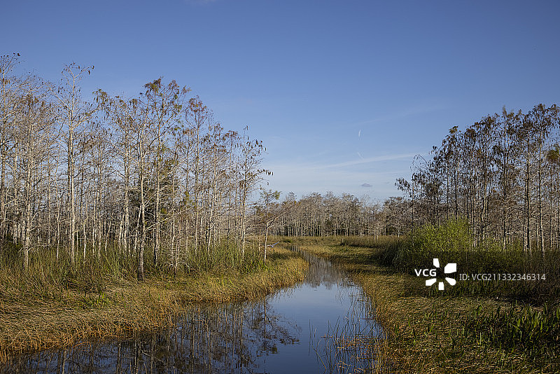 美国佛罗里达州大沼泽地晴朗蓝天下的湖景图片素材