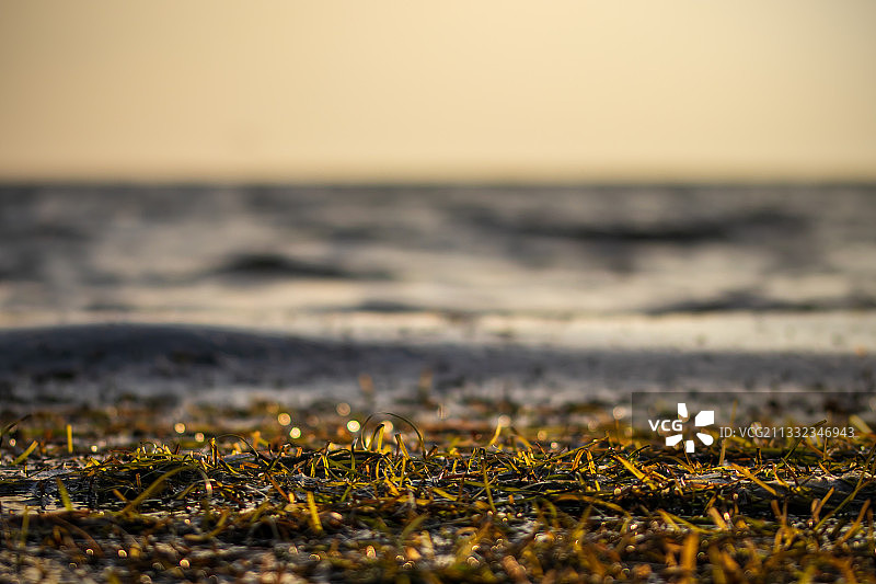 丹麦阿迈厄岛日落时分的海 shore 特写图片素材