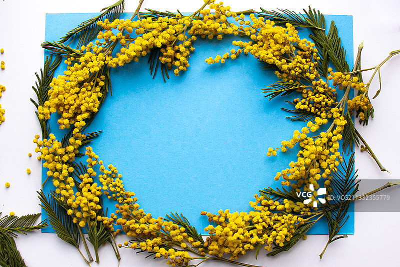 白色背景下的鲜花特写图片素材