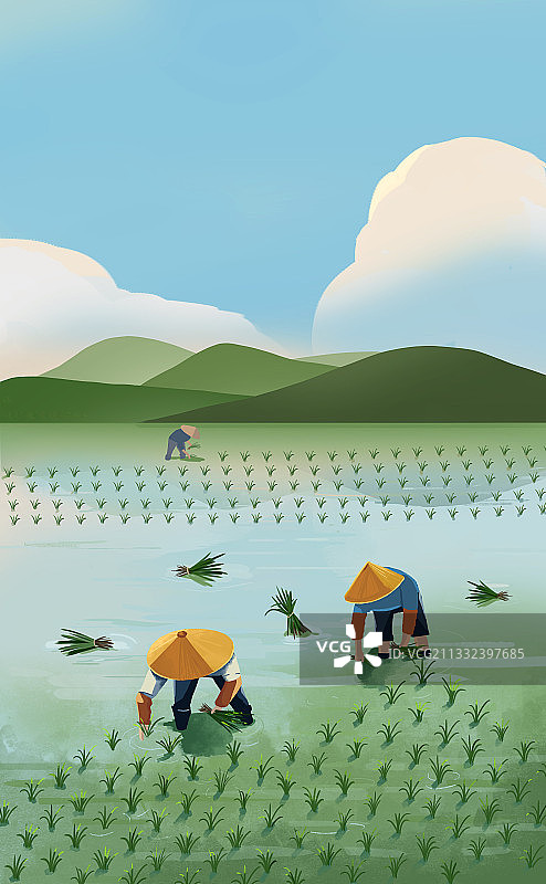 芒种插画图片素材