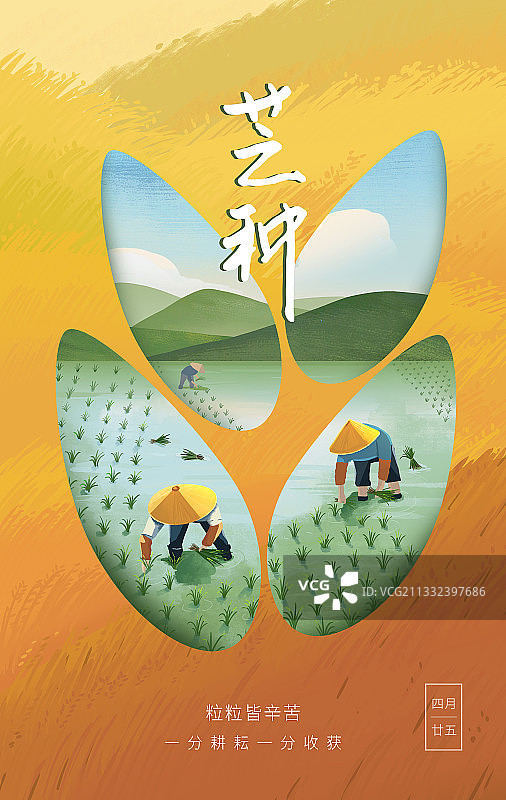 芒种海报图片素材