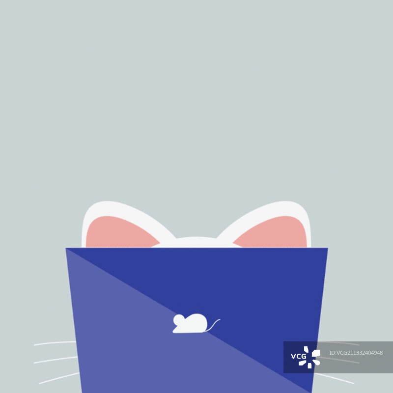 观望的猫图片素材