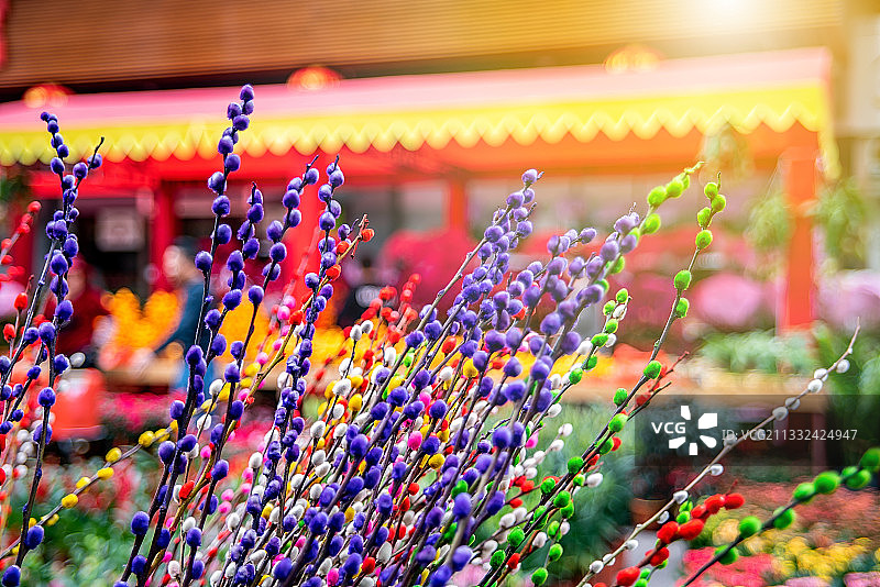 中国春节广东省迎春花市的鲜花图片素材