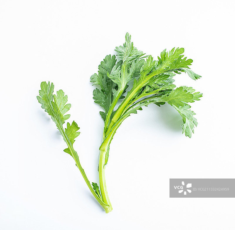 新鲜绿色蔬菜茼蒿图片素材